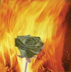 Living Mummification